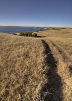 lago diefenbaker saskatchewan canadá foto