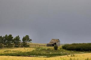 escena de la pradera saskatchewan foto