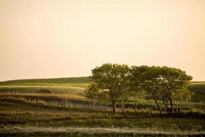 Prairie Scene Saskatchewan photo