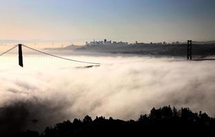 San Fransisco Skyline photo