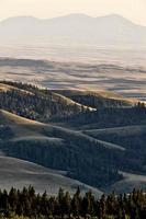 Horseshoe Canyon Alberta Canada photo