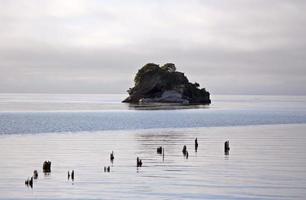 Cook Strait Collingwood New Zealand photo