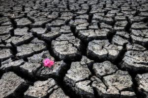 Dried up River Bed photo