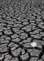 Dried up River Bed photo