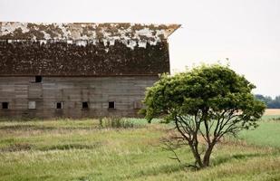 Prairie Barn Saskatchewan photo