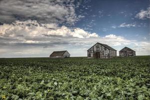 Prairie Storm Clouds photo