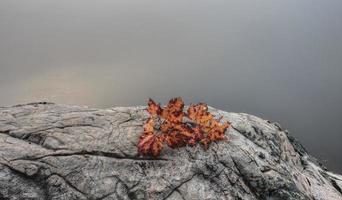 Lake in Autumn sunrise reflection photo