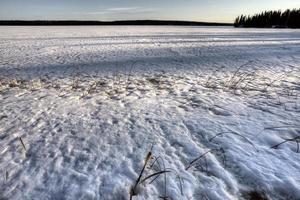 Northern Frozen Lake photo