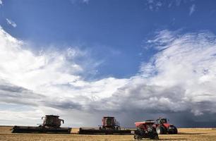 escena de la pradera saskatchewan foto