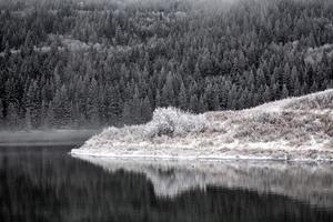 Cypress Hills in Winter photo
