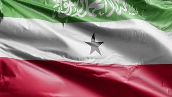 drapeau somaliland agitant lentement sur la boucle du vent. bannière somaliland se balançant doucement sur la brise. fond de remplissage complet. Boucle de 20 secondes. video