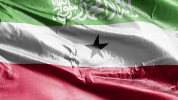 somalilands textilflagga vajar på vindslingan. somaliland banner vajande på vinden. tyg textilvävnad. full fyllning bakgrund. 10 sekunders loop. video