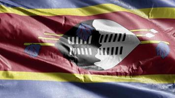 swazilands textilflagga viftande på vindslingan. swazi banner vajande på vinden. tyg textilvävnad. full fyllning bakgrund. 10 sekunders loop. video