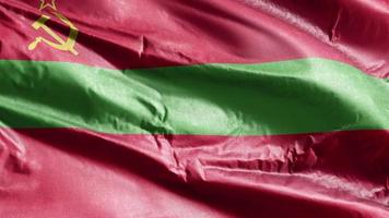 Transnistria textile flag waving on the wind loop. Transnistria banner swaying on the breeze. Fabric textile tissue. Full filling background. 10 seconds loop. video