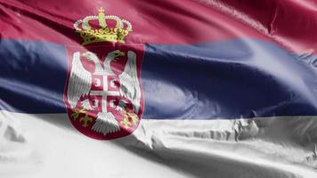 Serbia flag waving on the wind loop. Serbian banner swaying on the breeze. Full filling background. 10 seconds loop. video