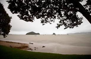 Paihia Beach New Zealand photo