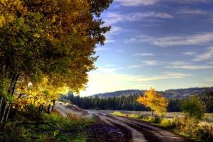 Autumn Colors Cypress Hills Canada photo