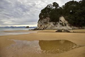 Golden Sand Beach New Zealand photo
