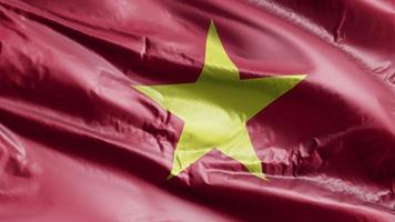 Vietnam flag waving on the wind loop. Vietnamese banner swaying on the breeze. Full filling background. 10 seconds loop. video