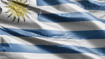 Uruguay flag slow waving on the wind loop. Uruguayan banner smoothly swaying on the breeze. Full filling background. 20 seconds loop. video