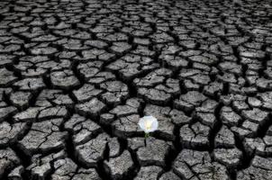 Dried up River Bed photo