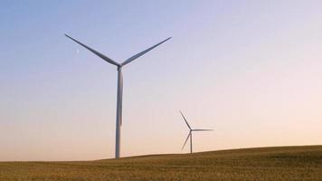 una turbina de viento generador de viento de electricidad. dos aerogeneradores giran generando energía en medio de un campo de trigo. Los parques eólicos son una fuente esencial de energía renovable intermitente.