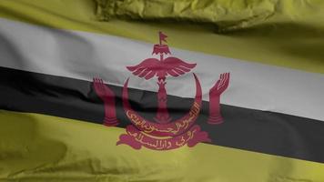 Brunei vlag naadloze close-up zwaaien animatie. Brunei achtergrond. 3D-weergave, 4k-resolutie video