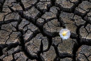 Dried up River Bed photo