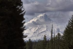 Mount Hood Oregon photo