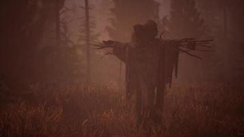 terrible scarecrow in dark cloak and dirty hat stands alone in autumn field video