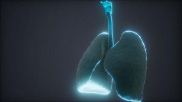 Animación 3d de pulmones humanos video