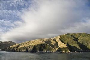 Ferry View Picton New Zealand photo