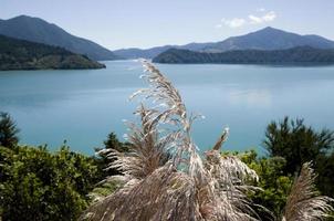 View Marlborough New Zealand photo