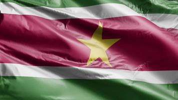 Surinaamse vlag langzaam zwaaiend op de windlus. Surinaamse banner soepel zwaaiend op de wind. volledige vulling achtergrond. 20 seconden lus. video