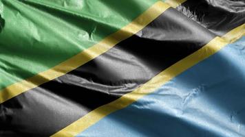 Tanzania textiel vlag langzaam zwaaien op de wind-lus. Tanzaniaanse banner soepel zwaaiend op de wind. stof textiel weefsel. volledige vulling achtergrond. 20 seconden lus. video