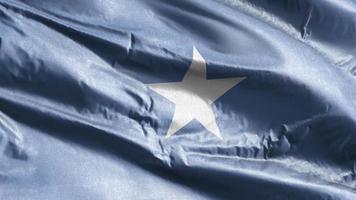 Somalia textile flag waving on the wind loop. Somali banner swaying on the breeze. Fabric textile tissue. Full filling background. 10 seconds loop. video