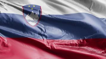 slovenien flagga vajar på vindslingan. slovensk banderoll vajande på vinden. full fyllning bakgrund. 10 sekunders loop. video