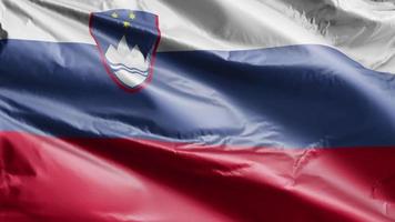 Slovenia flag slow waving on the wind loop. Slovenian banner smoothly swaying on the breeze. Full filling background. 20 seconds loop. video