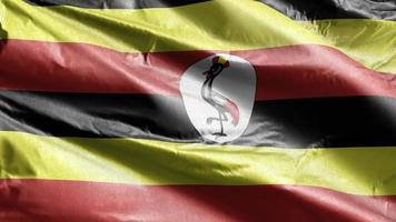 Uganda textile flag slow waving on the wind loop. Uganda banner smoothly swaying on the breeze. Fabric textile tissue. Full filling background. 20 seconds loop. video