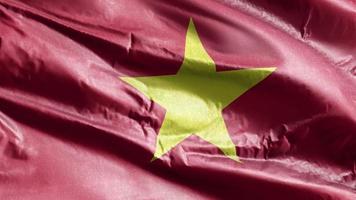 Vietnam textile flag waving on the wind loop. Vietnamese banner swaying on the breeze. Fabric textile tissue. Full filling background. 10 seconds loop. video