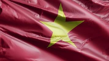 vietnam vlag langzaam zwaaien op de wind-lus. Vietnamese banner die soepel op de bries zwaait. volledige vulling achtergrond. 20 seconden lus. video