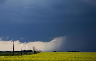 pradera nubes de tormenta foto