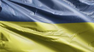 ukrainska flaggan vajar långsamt på vindslingan. ukrainska banderoll smidigt vajande på vinden. full fyllning bakgrund. 20 sekunders loop. video