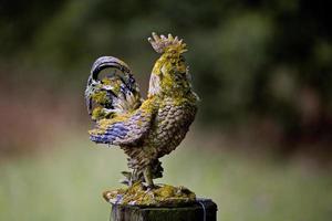 Old Rooster Statue photo