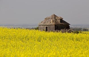 Abandoned Farm Buildings photo