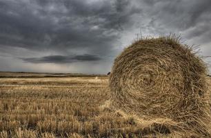 escena de la pradera saskatchewan foto