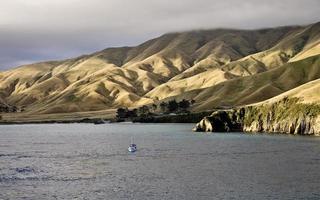 Ferry View Picton New Zealand photo