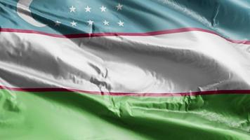 uzbekistan flagga vajar på vindslingan. uzbekisk banner vajande på vinden. full fyllning bakgrund. 10 sekunders loop. video