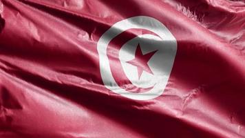 Tunisiens textilflagga vajar långsamt på vindslingan. tunisisk banderoll svajar smidigt på vinden. tyg textilvävnad. full fyllning bakgrund. 20 sekunders loop. video