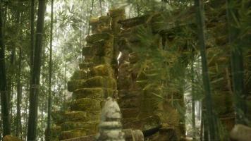 las ruinas de edificios antiguos en el bosque de bambú verde video